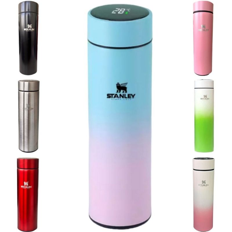 Garrafa Térmica 500ml T&Z c/ Sensor De Temperatura Em Led Touch - Prata