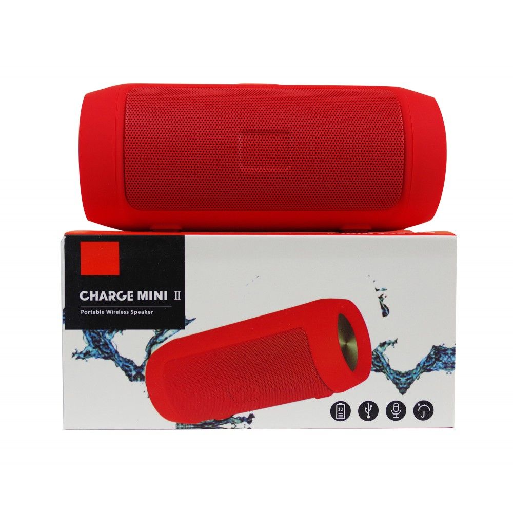 Charge 2025 mini 2